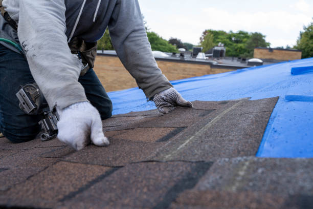 Asphalt Shingles Roofing in Chelsea, MA